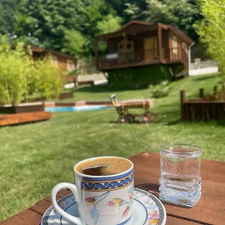 Lagun Pool Village Lodge *
